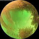 ./images/calvert/underwater/20260903/underwater20260903_141002M.jpg