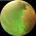 ./images/calvert/underwater/20260903/underwater20260903_143501M.jpg