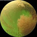 ./images/calvert/underwater/20260903/underwater20260903_144002M.jpg