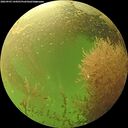 ./images/calvert/underwater/20260903/underwater20260903_144501M.jpg