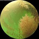 ./images/calvert/underwater/20260903/underwater20260903_145002M.jpg