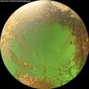 ./images/calvert/underwater/20260903/underwater20260903_150501M.jpg