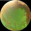 ./images/calvert/underwater/20260903/underwater20260903_151001M.jpg