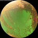 ./images/calvert/underwater/20260903/underwater20260903_151501M.jpg