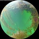 ./images/calvert/underwater/20260903/underwater20260903_154001M.jpg