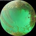 ./images/calvert/underwater/20260903/underwater20260903_155501M.jpg
