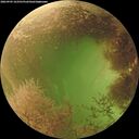 ./images/calvert/underwater/20260903/underwater20260903_163501M.jpg