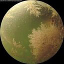 ./images/calvert/underwater/20260903/underwater20260903_164501M.jpg