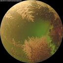 ./images/calvert/underwater/20260903/underwater20260903_171002M.jpg