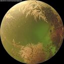 ./images/calvert/underwater/20260903/underwater20260903_171501M.jpg