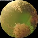 ./images/calvert/underwater/20260903/underwater20260903_172502M.jpg