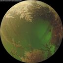 ./images/calvert/underwater/20260903/underwater20260903_180501M.jpg