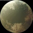 ./images/calvert/underwater/20260903/underwater20260903_184002M.jpg