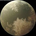 ./images/calvert/underwater/20260903/underwater20260903_190001M.jpg