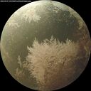 ./images/calvert/underwater/20260903/underwater20260903_191501M.jpg
