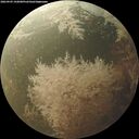 ./images/calvert/underwater/20260903/underwater20260903_192001M.jpg