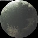./images/calvert/underwater/20260904/underwater20260904_063501M.jpg