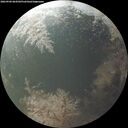 ./images/calvert/underwater/20260904/underwater20260904_064501M.jpg
