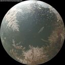 ./images/calvert/underwater/20260904/underwater20260904_070501M.jpg