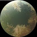 ./images/calvert/underwater/20260904/underwater20260904_075502M.jpg