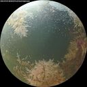 ./images/calvert/underwater/20260904/underwater20260904_080002M.jpg