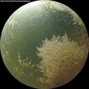 ./images/calvert/underwater/20260904/underwater20260904_081002M.jpg