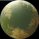 ./images/calvert/underwater/20260904/underwater20260904_082501M.jpg