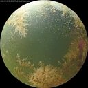 ./images/calvert/underwater/20260904/underwater20260904_083001M.jpg