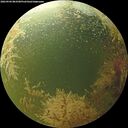 ./images/calvert/underwater/20260904/underwater20260904_083501M.jpg