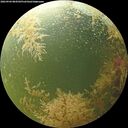 ./images/calvert/underwater/20260904/underwater20260904_084501M.jpg