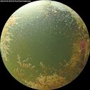 ./images/calvert/underwater/20260904/underwater20260904_085501M.jpg
