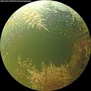 ./images/calvert/underwater/20260904/underwater20260904_090001M.jpg