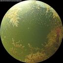 ./images/calvert/underwater/20260904/underwater20260904_090501M.jpg
