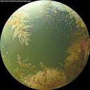 ./images/calvert/underwater/20260904/underwater20260904_091001M.jpg