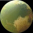 ./images/calvert/underwater/20260904/underwater20260904_091501M.jpg