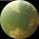 ./images/calvert/underwater/20260904/underwater20260904_092001M.jpg