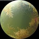 ./images/calvert/underwater/20260904/underwater20260904_092502M.jpg