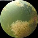 ./images/calvert/underwater/20260904/underwater20260904_093002M.jpg