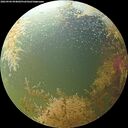 ./images/calvert/underwater/20260904/underwater20260904_094002M.jpg
