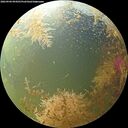 ./images/calvert/underwater/20260904/underwater20260904_094501M.jpg