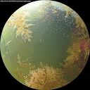 ./images/calvert/underwater/20260904/underwater20260904_095001M.jpg
