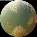 ./images/calvert/underwater/20260904/underwater20260904_095501M.jpg