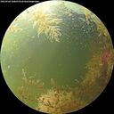 ./images/calvert/underwater/20260904/underwater20260904_100001M.jpg