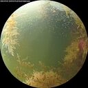 ./images/calvert/underwater/20260904/underwater20260904_100501M.jpg