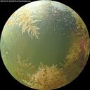./images/calvert/underwater/20260904/underwater20260904_101002M.jpg