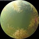 ./images/calvert/underwater/20260904/underwater20260904_102001M.jpg