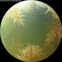 ./images/calvert/underwater/20260904/underwater20260904_103001M.jpg