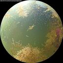 ./images/calvert/underwater/20260904/underwater20260904_103502M.jpg