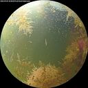 ./images/calvert/underwater/20260904/underwater20260904_104002M.jpg