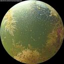 ./images/calvert/underwater/20260904/underwater20260904_104501M.jpg